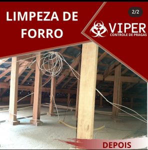 Galeria Viper 8