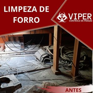 Forro antes